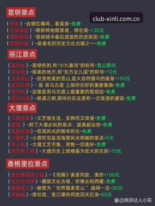 新利体育官网实战操作详解：从新手到老手的避坑指南